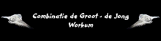 De Groot-De Jong