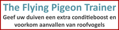 The flying pigeon trainer