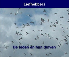 Liefhebbers